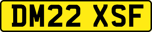 DM22XSF