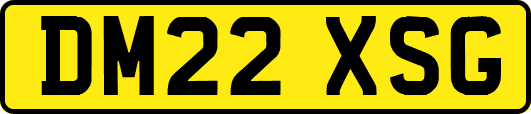DM22XSG