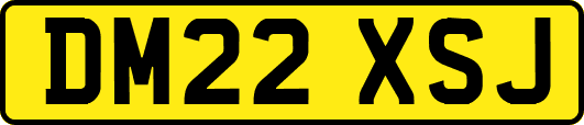 DM22XSJ