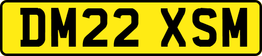 DM22XSM