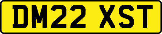 DM22XST