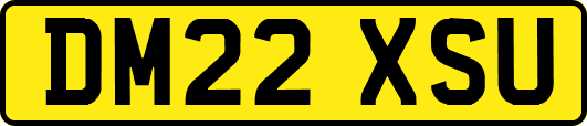 DM22XSU