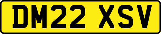 DM22XSV