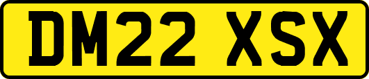 DM22XSX