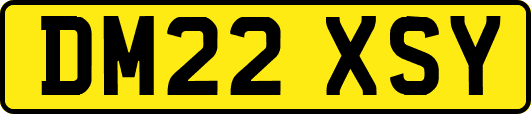 DM22XSY