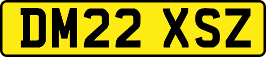 DM22XSZ