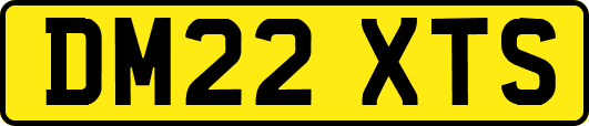 DM22XTS