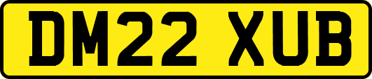 DM22XUB