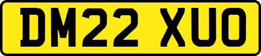 DM22XUO