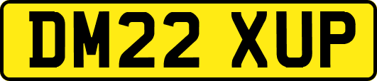 DM22XUP