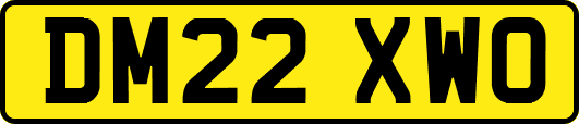 DM22XWO