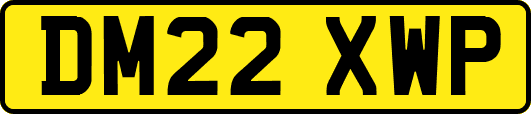 DM22XWP