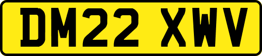 DM22XWV