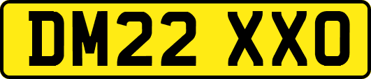 DM22XXO