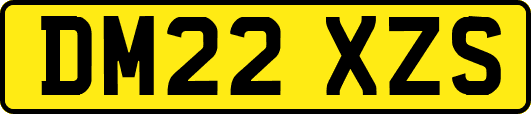 DM22XZS