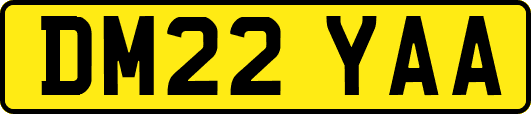 DM22YAA