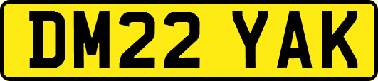 DM22YAK