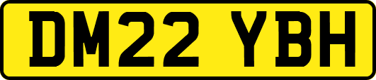 DM22YBH