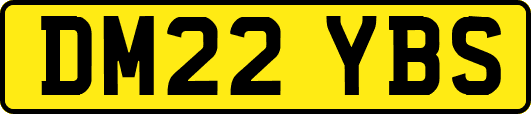 DM22YBS