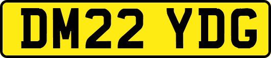 DM22YDG