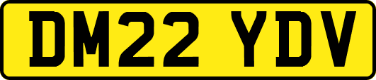 DM22YDV