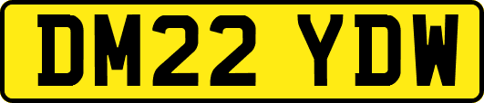 DM22YDW