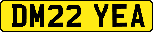 DM22YEA
