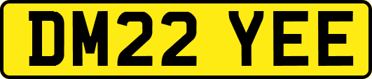 DM22YEE