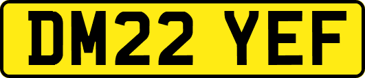 DM22YEF