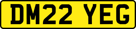 DM22YEG