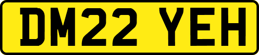 DM22YEH