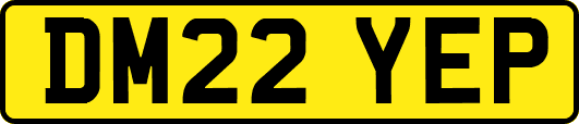 DM22YEP