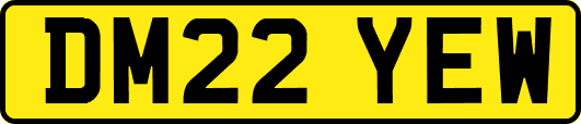 DM22YEW