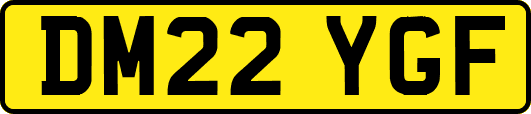 DM22YGF