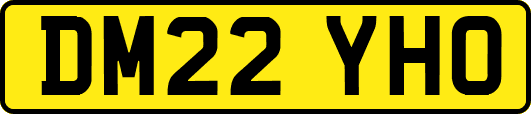 DM22YHO
