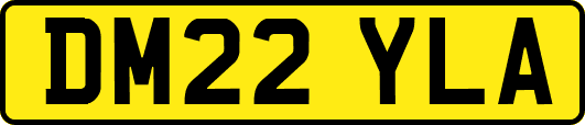 DM22YLA