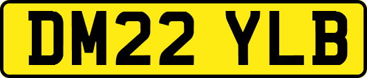 DM22YLB