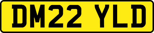 DM22YLD