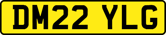 DM22YLG