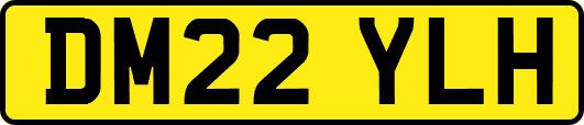 DM22YLH