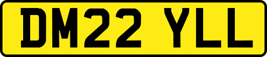 DM22YLL