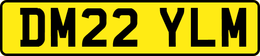 DM22YLM