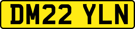 DM22YLN