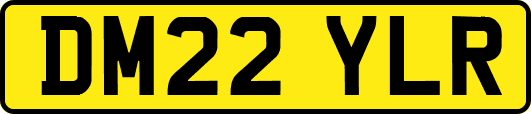 DM22YLR