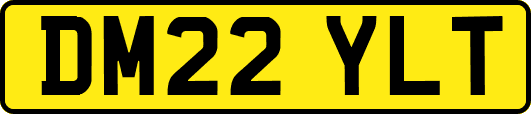 DM22YLT
