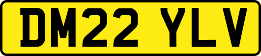 DM22YLV