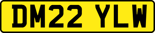 DM22YLW