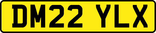 DM22YLX