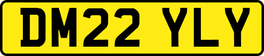 DM22YLY