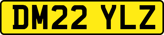 DM22YLZ